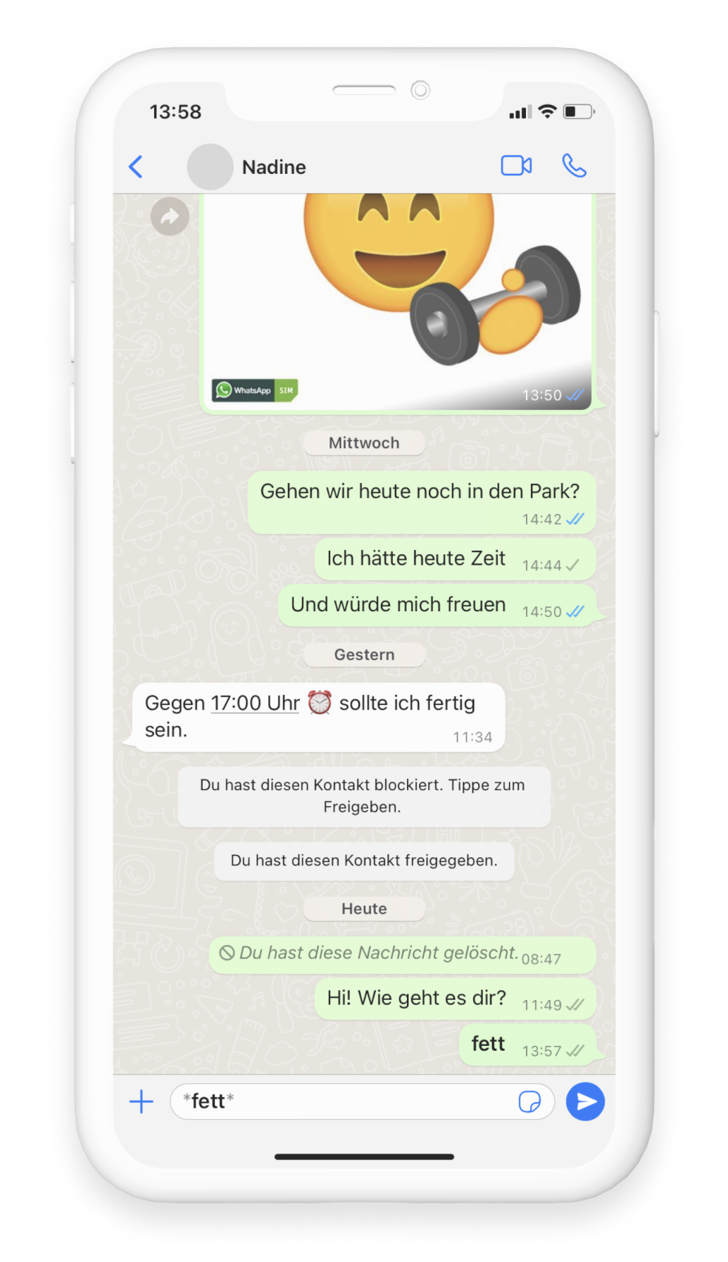 Ein Screenshot eines WhatsApp Chats, im Eingabefeld wurde "*fett*" geschrieben.