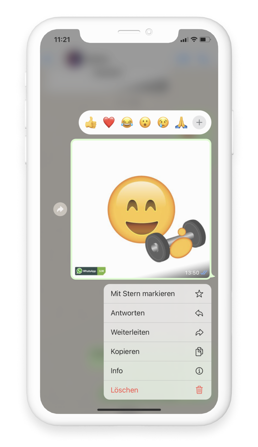 WhatsApp Chat mit markiertem gesendetem Bild und Optionen Kopieren, Info, Löschen