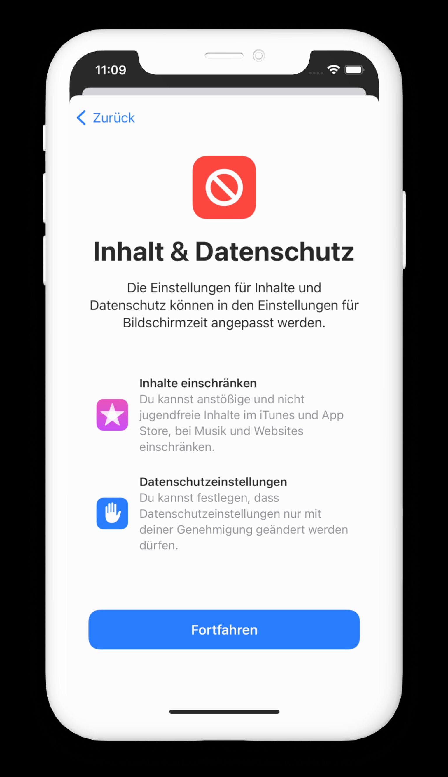 Screenshot der iOS-Einstellungen für Inhalt und Datenschutz 